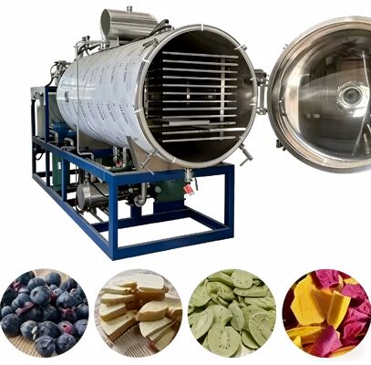 Βιομηχανικός καταψύκτης στεγνωτήριο με αυτόματη λειτουργία, επίπεδο θορύβου 70dB και επίπεδο κενού κάτω από 13Pa, κατάλληλο για βιομηχανική χρήση