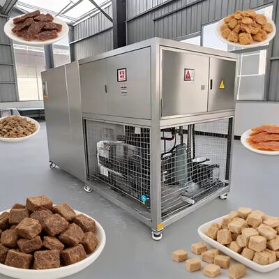 Ηλεκτρική θέρμανση τροφίμων Vakuum Freeze Dryer προσφέροντας Freeze ξήρανση θερμοκρασία -40 έως 80 βαθμούς Κελσίου για αφυδάτωση τροφίμων